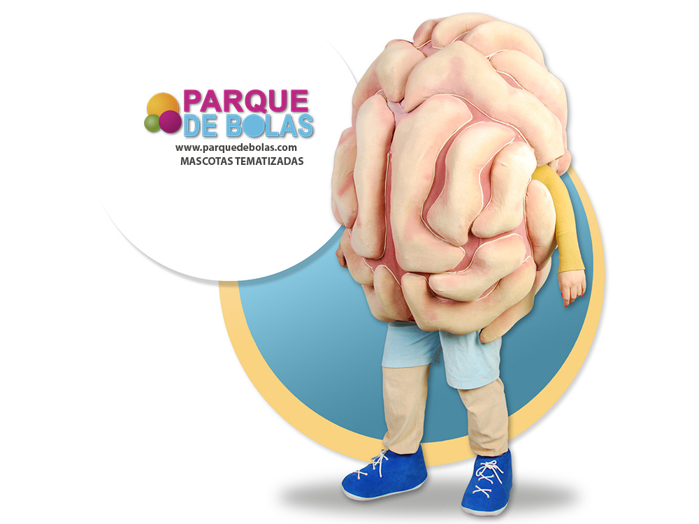 https://parquedebolas.com/images/productos/peq/Mascota%20CEREBRO.jpg